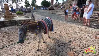 Saona and Altos de Chavon - private tour