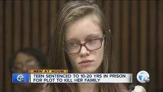 Teen sentenced to 10-20 years in prison for plot to kill her family