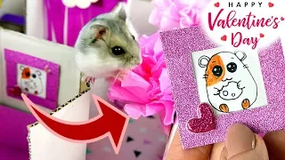 How to make a valentine track for a hamster? 🐹