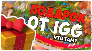 Получил подарок от IGG. Что это!?!?