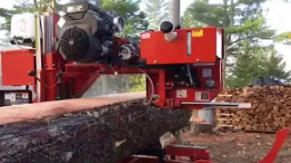 Milling a Big White Pine