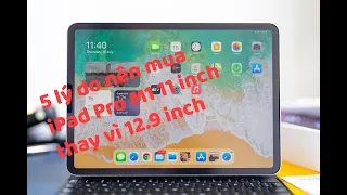 5 lý do nên mua iPad Pro M1 11 inch thay vì 12.9 inch