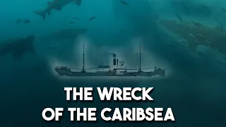 This WW II Shipwreck is Home to 100 Sharks - SS Caribsea