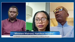 Ministers Walrond & Hamilton respond to IDPADA-G statement at UN Forum on People of African Descent