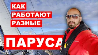 Какими бывают ПАРУСА на яхте. Как работают паруса на разных ветрах.