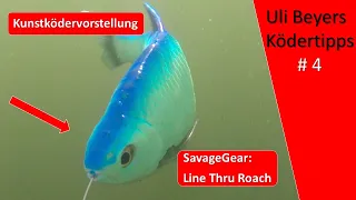 Angeln mit Swimbait - SavageGear Line Thru - Roach