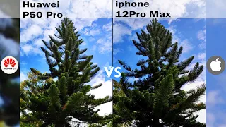 Huawei P50 Pro Vs Iphone 12 Pro Max Camera Comparison