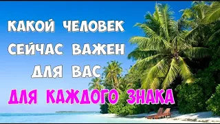 🌍 Кто сейчас важен для Вас 🌍Таро гадание для каждого знака зодиака