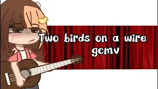 ~---🕊Two Birds On A Wire🕊---~ GCVM-