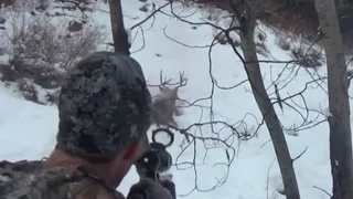 Mule-Deer Shot On the Run!!! MUST SEE - Stuck N the Rut 24