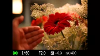 Sony a7R II Depth vs Image-Based Subject Tracking demonstrated by DPReview.com