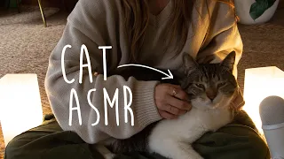 [ASMR] Cozy Cat Snuggles 🌧 REAL PURRING 🐈