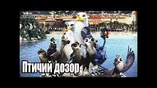 Птичий дозор  2019