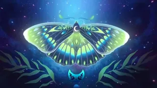 Listen to these and you will receive incalculable miracles throughout your life - butterfly effect