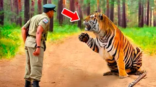 Tiger Begging Soldier For Help, But The Reason Surprised Everyone！