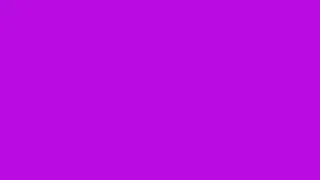 1 Hour of Fluorescent Purple Screen