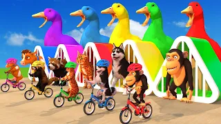 5 Giant Duck Monkey Cow Cat Pacman Racing Bicycle Magic Pipeline Fountain Crossing Transfiguration