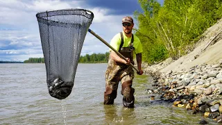 Dip Net Fishing for Hooligan | Alaska's Sardine