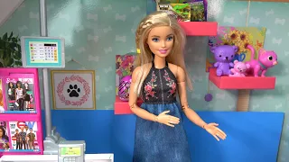 Barbie and Ken at Barbie Dream House w Mama Barbie and Barbie Sister Chelsea Baby Shopping