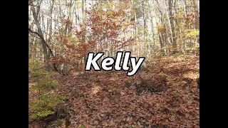 KELLY as a Family Name   Meaning and Origin