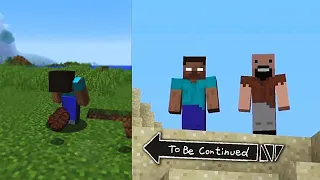 Herobrine or Diamond | TIKTOK MINECRAFT COMPILATION