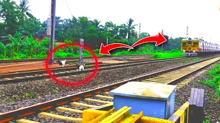 Live Accident Situation The Goat Coming In A Speeding Train