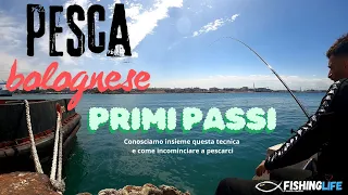 Pesca Bolognese Primi Passi Come Incominciare approcciarsi a questa tecnica una lenza adatta a tutti