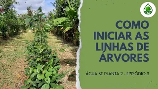 Água se planta 2 - Episódio 3 - Como iniciar as linhas de árvores.