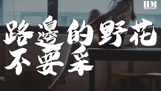 鄧麗君 - 路邊的野花不要採『千萬不要把我來忘懷』【動態歌詞Lyrics】