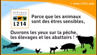 Hondelatte raconte le combat de "L214 Ethique & Animaux"