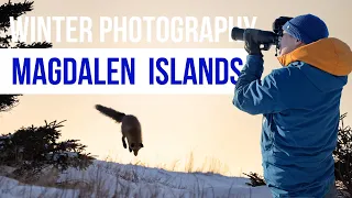 Best Winter Photography Locations in the Magdalen Islands | Îles de la Madeleine