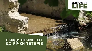 Нечистоти у річці Тетерів: активісти домоглися пояснення у директора КП «Житомирводоканал»