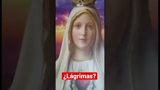 ¿Lágrimas de la Virgen? #shorts