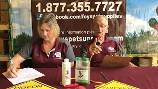 Foy's Facebook Live - October 5, 2018 Misc. Pigeon Items You May Not Have Known Existed