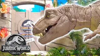 Can Darius Escape the Hungry T-Rex?! 😱🦖 | Jurassic World | Mattel Action!