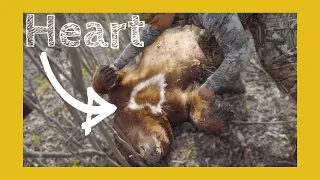 I SHOT A CARE BEAR!! (Heart Shape Blaze - Spring Bear hunting - Manitoba - once-in-a-lifetime!!!)