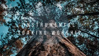 THE WISDOM // Instrumental Worship Soaking in His Presence
