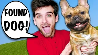 I RESCUE DOG from HACKERS in New York City! Spending 24 Hours on Surprising Travel Challenge!