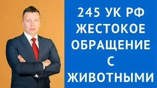 Статья 245 УК РФ жестокое обращение с животными - Адвокат по уголовным делам