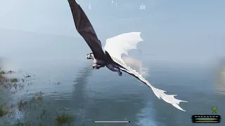 Practicing Flight in Day of Dragons