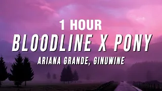 [1 HOUR] Ariana Grande, Ginuwine - Bloodline X Pony (TikTok Mashup) [Lyrics]