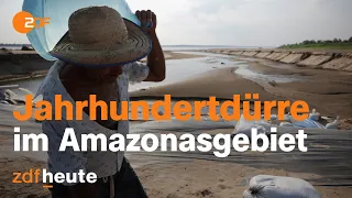 Regenwald ohne Regen: Angst um das Amazonasgebiet | auslandsjournal