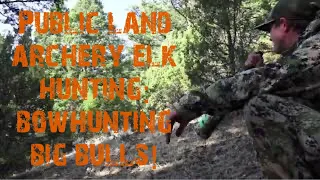 Public Land Archery Elk Hunting: Archery Elk Hunting Montana 2020. Bowhunting Big Bulls