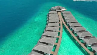 Maldives - Honeymoon -