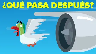 ¿Qué Sucede Cuando un Pájaro Golpea un Motor de Avión?