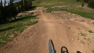 Buffalo Drop - Grand Targee, WY (7/24/20)