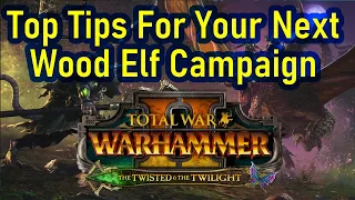 Top Tips For Your Next Wood Elf Campaign - The Twisted And The Twilight - Total War Warhammer 2