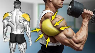 5 Best Rear Delt Exercise (HUGE SHOULDERS)