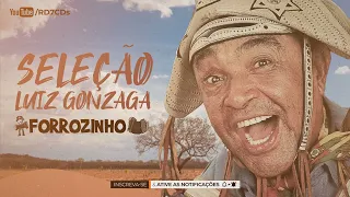 SELEÇÃO LUIZ GONZAGA VERSÃO FORRÓZINHO PRA PAREDÃO PISEIRO AS MELHORES - RD7CDs