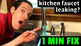 EASY FIX! Kitchen Faucet Leaking? How to fix a leaky kitchen faucet in 1 minute